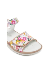 Sandale dama – 7887766 –  Piele naturala – 35 EU – Multicolor